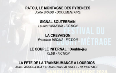 Programme des films de la projection du Samedi 2 novembre 2024